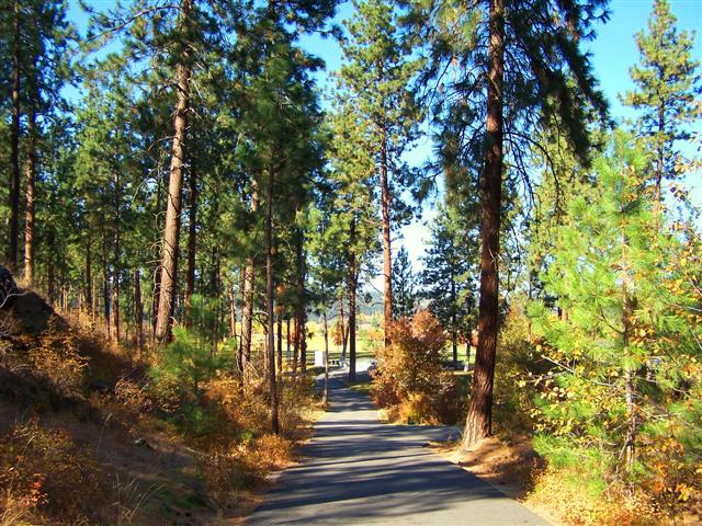 Mirabeau Springs to Meadows Path
