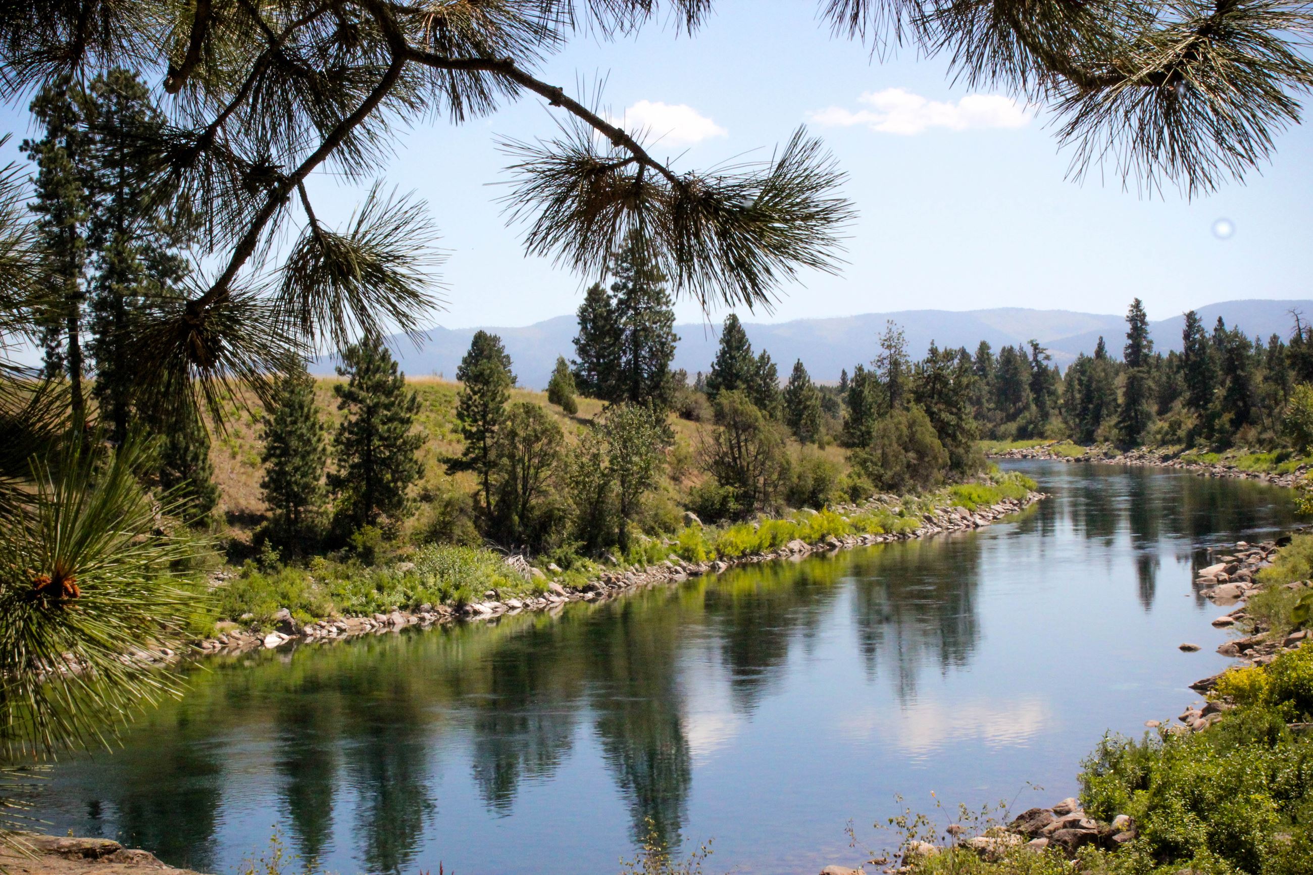 Compliance with Rules and Regs_1